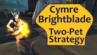 Cymre Brightblade 2 Pet Guide for An Awfully Big Adventure [upl. by Nnaeus]