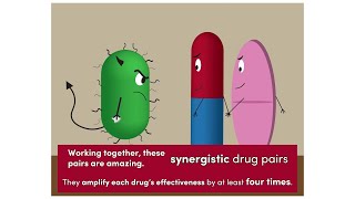 Drug synergism [upl. by Drews]