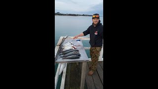 EP3 WINTER SALMON SHENANIGANS INVERLOCH VICTORIA [upl. by Halimak]