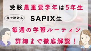 サピックス5年の教材優先順位と1週間の学習スケジュール〜コベツバradio55回〜 [upl. by Allecram218]