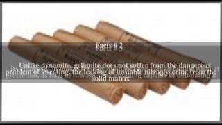 Gelignite Top  5 Facts [upl. by Phio]