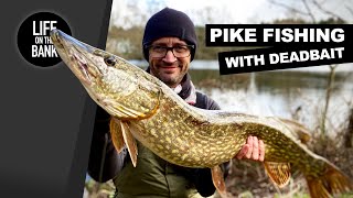 PIKE FISHING WITH DEADBAIT [upl. by Shu530]