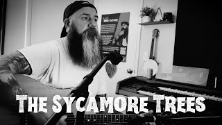 The Sycamore Trees Official Music Video [upl. by Volnak]