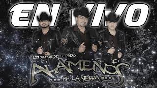 Los Alameños de la Sierra en vivo  El Jefe Xwmv [upl. by Alger]