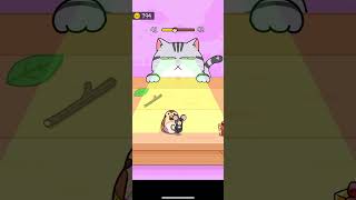 CatEscape 41 level gameplay2024foxmatch3shorts [upl. by Salvucci410]