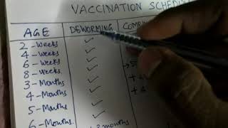 Vaccination schedule for puppies and dog in Telugu [upl. by Yaresed]