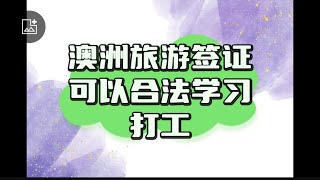 第79集｜澳洲旅游签证可以短期学习也可以工作吗？ [upl. by Lodhia]