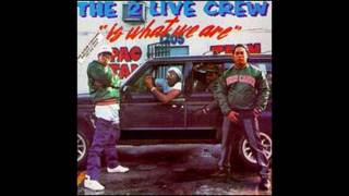 2 Live Crew  We Want Some Py [upl. by Nylcsoj]