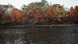 Calm Afternoon Moments  Relaxing Lakeside Ambience [upl. by Jair]