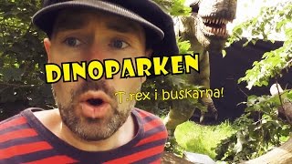 TREX lurar i buskarna  DINOPARKEN med Pappa Kapsyl  kul fakta om dinosaurier för barn [upl. by Scornik8]