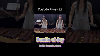 인사이드아웃 기쁨이테마곡 마림바 커버🎧🫧 Inside Out ‘Bundle of Joy’ Marimba cover shorts youtubeshorts 유튜브 short [upl. by Amatruda]