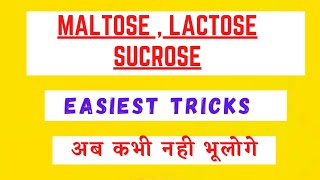 Maltose Lactose Sucrose Tricks  Biomolecules Tricks [upl. by Anikal552]