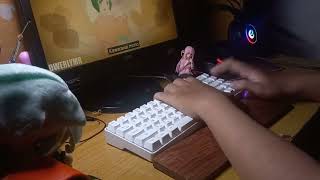 Mod bàn phím giả cơ  modding a membrane keyboard [upl. by Isborne]