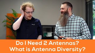 What is Antenna Diversity [upl. by Chane]