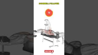 DUMBBELL PULLOVER Exercise  Home Workout 🏋️💪fitness homeworkout gym viral [upl. by Riancho]