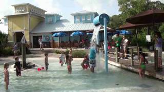 Brevard Zoo Summer Camps [upl. by Enram]