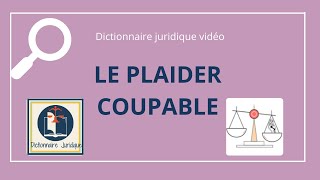 Marie Demoulin  Le constat d’infraction électronique  entre gestion documentaire et cyberjustice [upl. by Esir302]