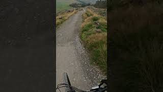 Freeride  revolutionbikepark mtb mtbfun downhill bikepark [upl. by Adnola]