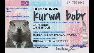 bobr kurwa song [upl. by Notsej640]