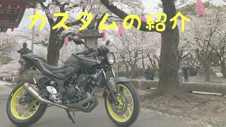 【MT03】実はカスタムしていた【MotoVlog】 [upl. by Aiem118]