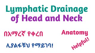 Anatomy ǀ Lymphatic Drainage of Head and Neck Interesting Video with Amharic Speech [upl. by Mariska]