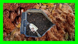 Best Way To Make Soil Acidic Naturally For Blueberries How to Make Blueberries Soil Mix [upl. by Margaretha]