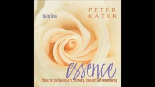 Peter Kater  Essence [upl. by Pitzer]