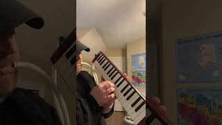 Melodica — May May Snippet melodica original music [upl. by Briana]