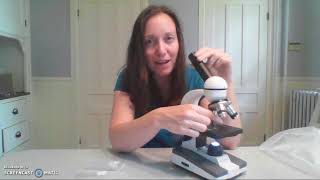 How to Use the AmScope microscope [upl. by Ettennyl]