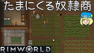 【リムワールド】たまにくる奴隷商 24【女子実況】日本語 RimWorld [upl. by Savitt771]