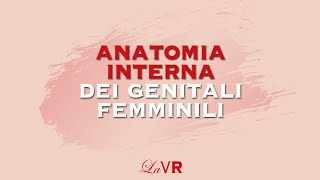 La Valigia Rossa presenta Lanatomia interna dei genitali femminili [upl. by Oikim]