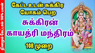 🔥சுக்கிரன் காயத்ரி மந்திரம்  💥சுக்கிரன் mantra 108 tamilmantra ⚡தமிழ்மந்திரம்✨ [upl. by Freyah153]