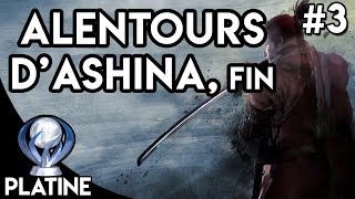 Sekiro  Guide Platine 3 ► Alentours dAshina amp Gyobu [upl. by Racso]