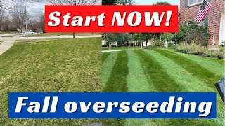 Lawn Overseeding In Fall How YOU Can Transform Your Lawn [upl. by Enyamart]