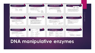 DNA Manipulative Enzymes Gene Conning  Urdu\ Hindi [upl. by Frangos]