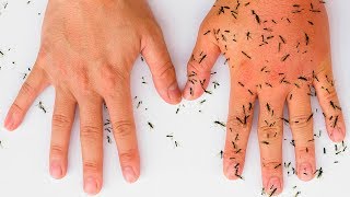 8 AllNatural Ways to Keep Mosquitoes Away [upl. by Randy672]