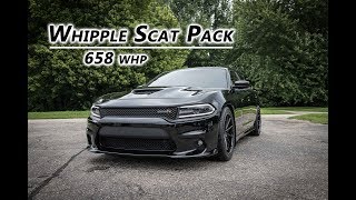 Supercharged amp Cammed Scat Pack Charger Dyno  658 whp [upl. by Ahseinat]