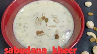 Navratri special Sabudana kheer Falahari Recipe Upvaas me Banaye Kheer Sago dish [upl. by Ibrik99]