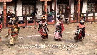 Cham dancer performing black hat dance shana in Bhutan [upl. by Clywd490]