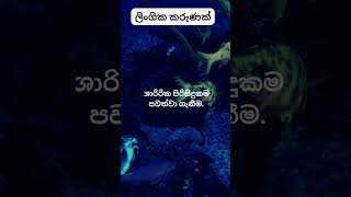 මේ දේවල් කලොත් වෙන දේ හිතාගන්නවත් බෑ 🥰🥰 psychology education shorts [upl. by Rennane506]