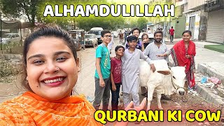 Alhamdulillah Qurbani Ke Liye Cow Le Li 🐂 Emotional Hogai Mai 🥲 [upl. by Madora144]