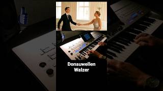 Donauwellen Walzer  Walc Fale Dunaju [upl. by Husein]