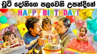 චූටි දෝනිගෙ පලවෙනි උපන්දිනේ 🎂🎉  Baby Elba’s 1st Birthday  Binario 12 [upl. by Reimer]