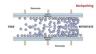 POREX® TMF  Cross flow filtration process [upl. by Mihalco]