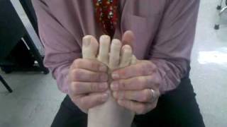 Distal Metatarsal Joint Mobilization [upl. by Ailev]