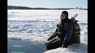 Diving under the ice [upl. by Nimajnab]