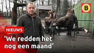 Kleine dierentuinen in de problemen  Omroep Brabant [upl. by Uehttam]