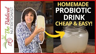 2Ingredient Probiotic Drink Recipe  How To Make Probiotic At Home [upl. by Sivel551]