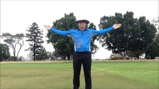 Cricket Umpire Signals  HD [upl. by Enined]