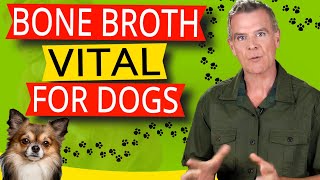 Bone Broth Benefits For Dogs 13 Amazing Health Benefits Dogs Love [upl. by Omsare]